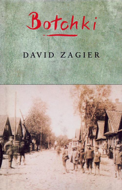 Cover of the book Botchki by David Zagier, Halban