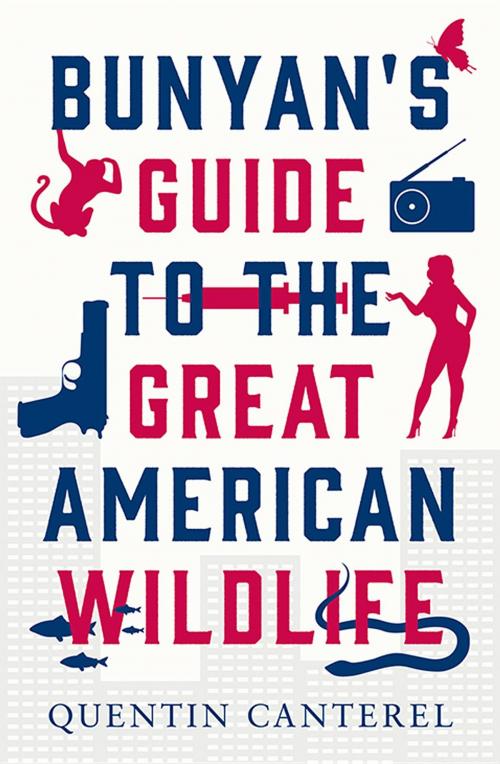 Cover of the book Bunyan's Guide To The Great American Wildlife by Quentin Canterel, Acorn Independent Press