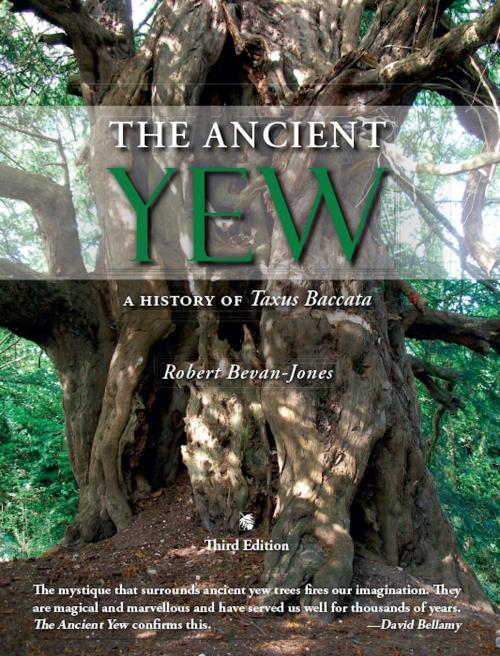 Cover of the book The Ancient Yew by Robert Bevan-Jones, Windgather Press