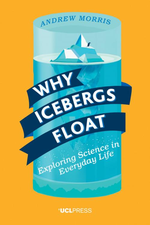 Cover of the book Why Icebergs Float by Dr Andrew Morris, UCL Press