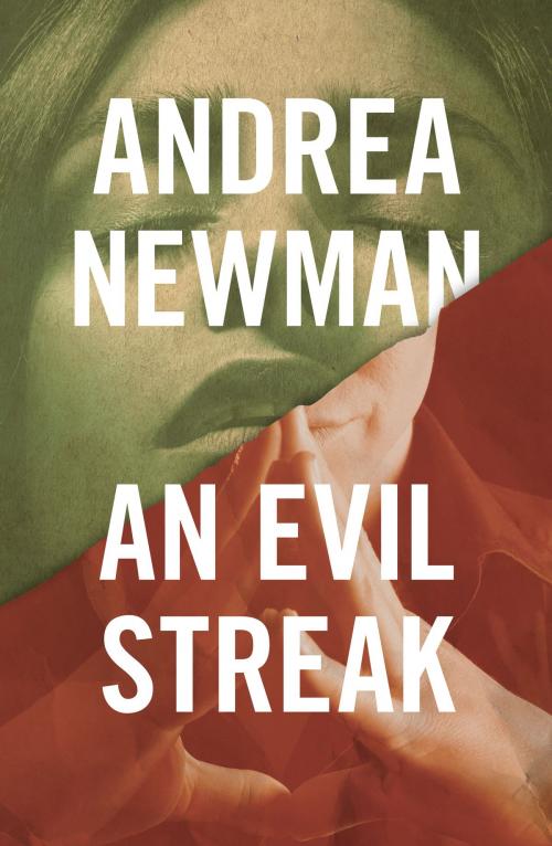 Cover of the book An Evil Streak by Andrea Newman, Canelo