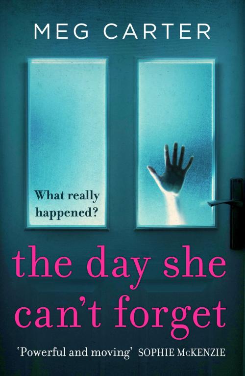 Cover of the book The Day She Can’t Forget by Meg Carter, Canelo