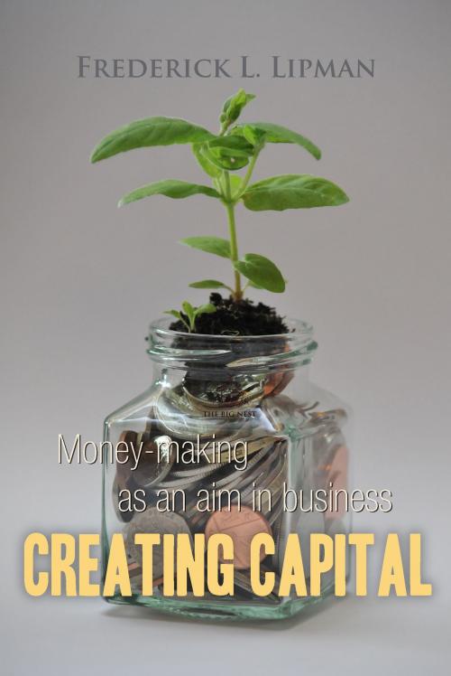 Cover of the book Creating Capital by Frederick L. Lipman, Interactive Media