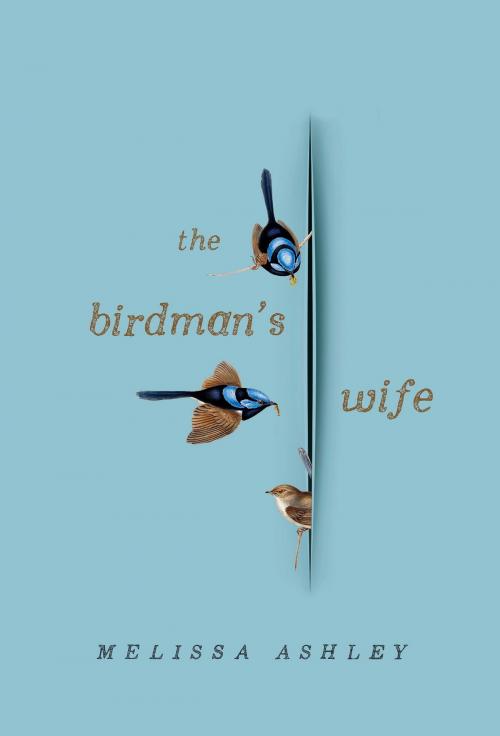 Cover of the book The Birdman's Wife by Melissa Ashley, Affirm Press