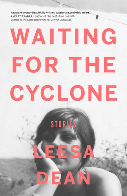 Cover of the book Waiting for the Cyclone by Leesa Dean, Brindle & Glass