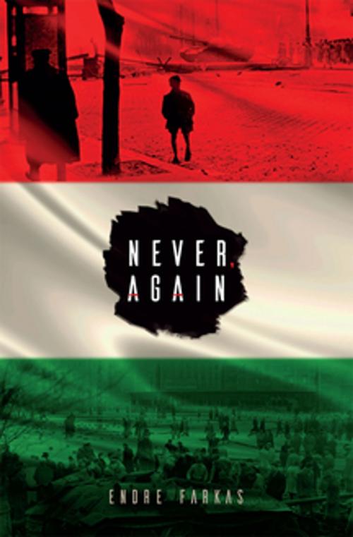 Cover of the book Never, Again by Endre Farkas, Signature Editions