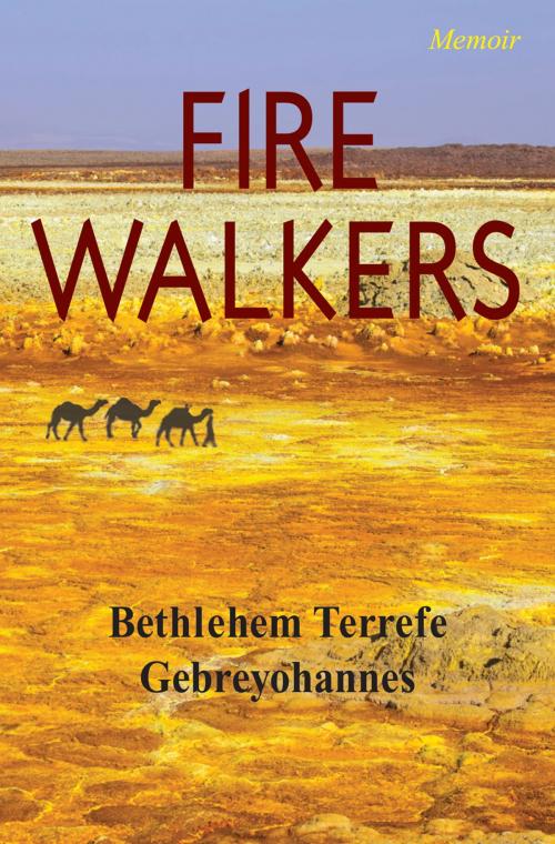 Cover of the book Fire Walkers by Bethlehem Terrefe Gebreyohannes, Mawenzi House