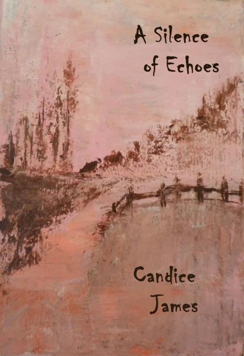 Cover of the book A Silence of Echoes by Candice James, Silver Bow Publishing