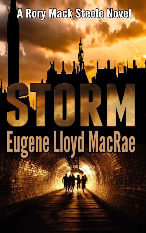 Cover of the book Storm by Eugene Lloyd MacRae, Eugene Lloyd MacRae