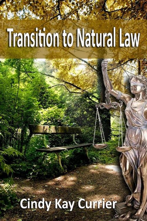 Cover of the book Transition to Natural Law by Cindy Kay Currier, Kima Global Publishers