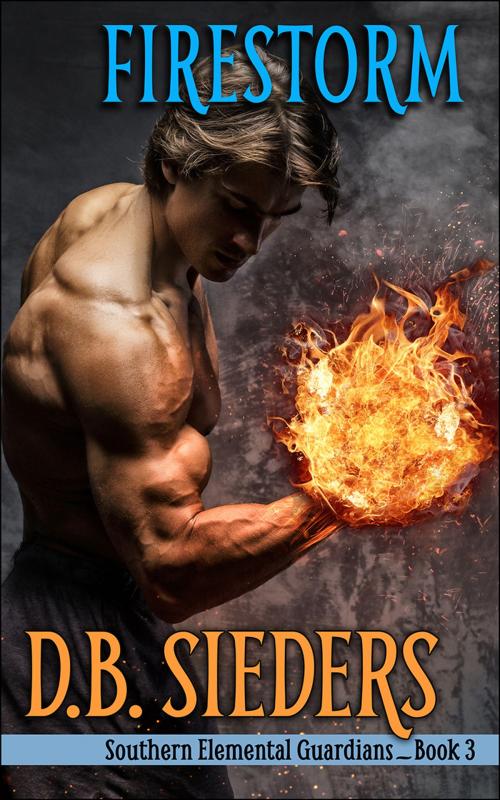Cover of the book Firestorm by D.B. Sieders, Griffyn Ink