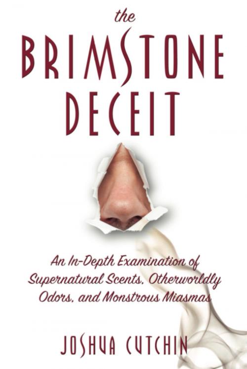 Cover of the book THE BRIMSTONE DECEIT by Joshua Cutchin, Anomalist Books