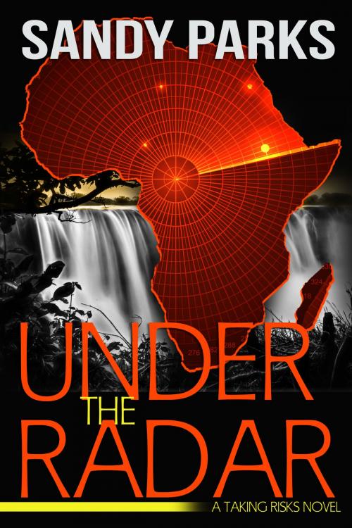 Cover of the book Under The Radar by Sandy Parks, True Airspeed Press