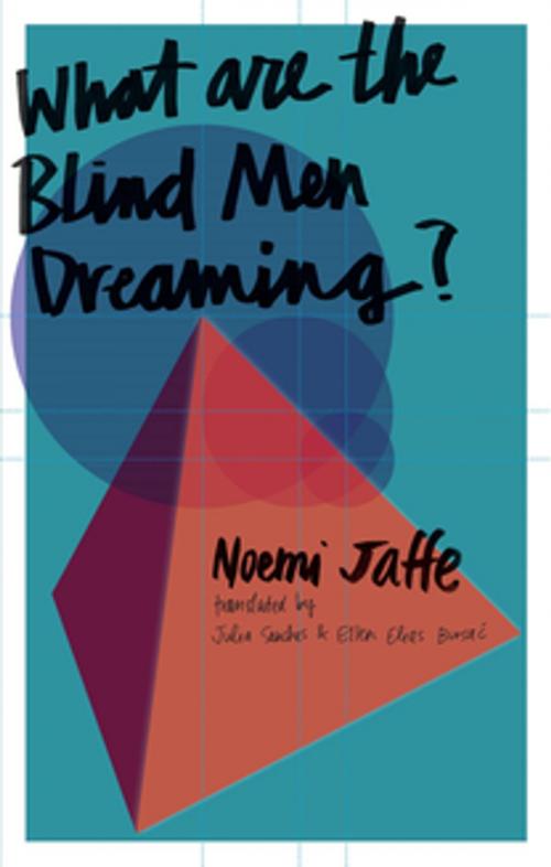 Cover of the book What are the Blind Men Dreaming? by Noemi Jaffe, Deep Vellum Publishing