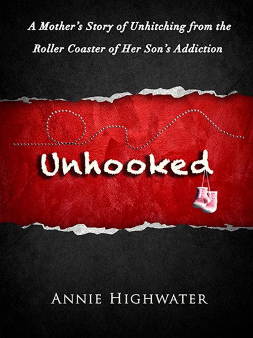 Cover of the book Unhooked: A Mother's Story Of Unhitching From The Roller Coaster Of Her Son's Addiction by Annie Highwater, Six Degrees Publishing Group