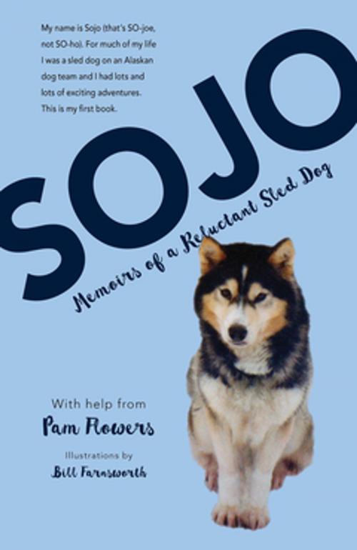 Cover of the book Sojo by Pam Flowers, West Margin Press