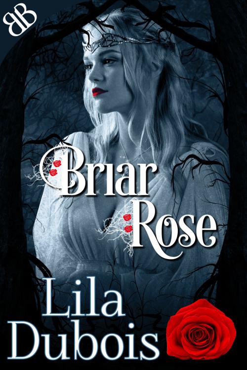 Cover of the book Briar Rose by Lila Dubois, Book Boutiques