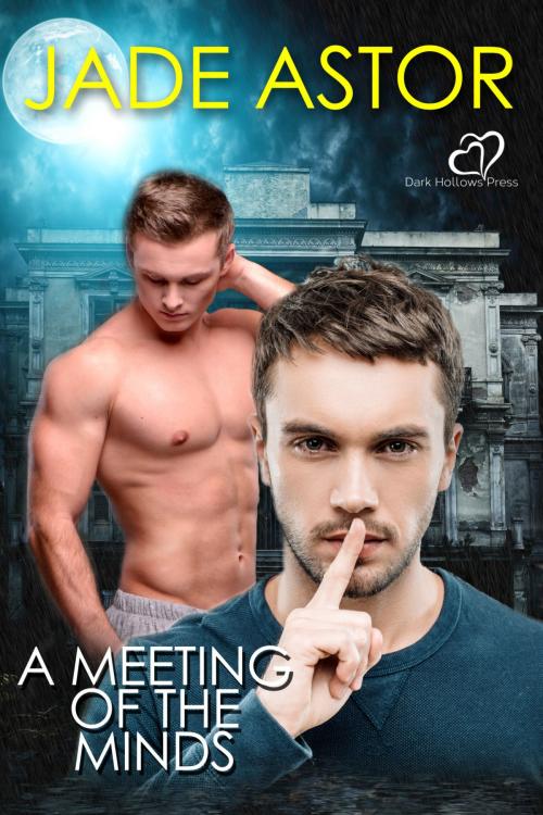 Cover of the book A Meeting of the Minds by Jade Astor, Painted Hearts Publishing