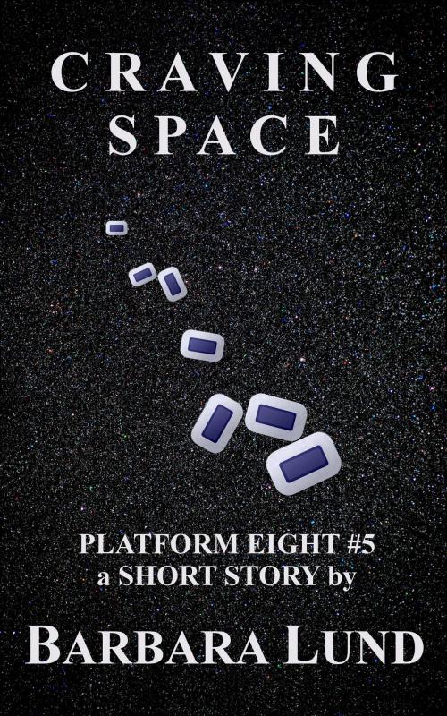 Cover of the book Craving Space by Barbara Lund, Barbara Lund
