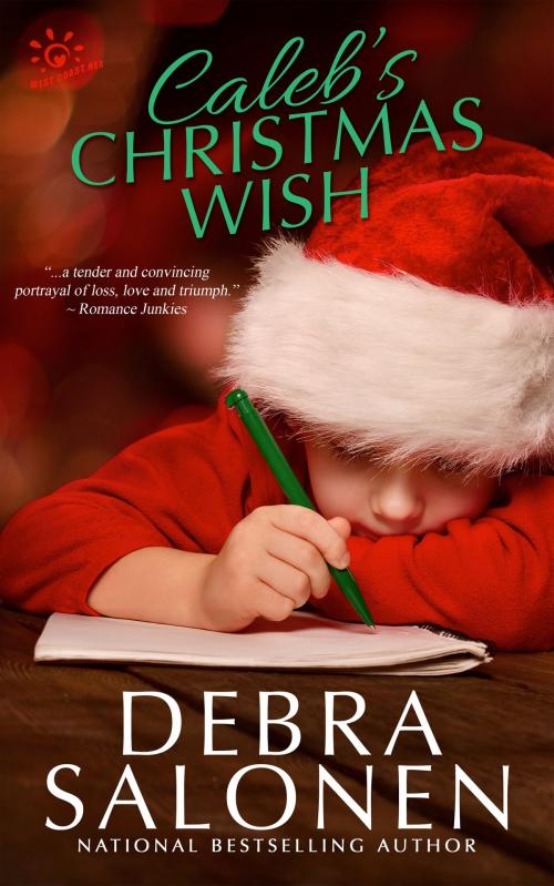 Cover of the book Caleb's Christmas Wish by Debra Salonen, Loner Llama Press