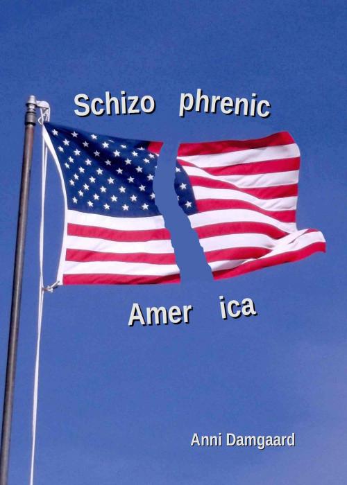 Cover of the book Schizophrenic America by Anni Damgaard, Skaeg Publishing LLC