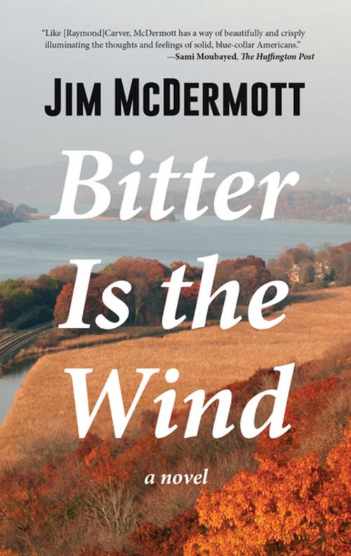 Cover of the book Bitter Is the Wind by Jim McDermott, Rare Bird Books