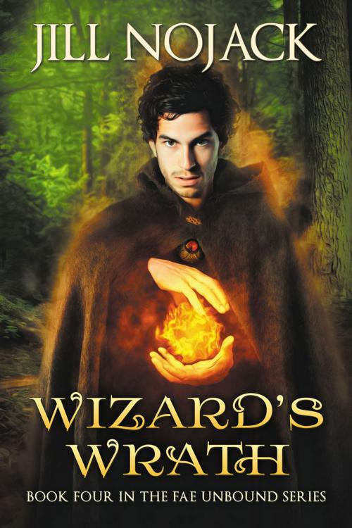 Cover of the book Wizard's Wrath by Jill Nojack, IndieHeart Press