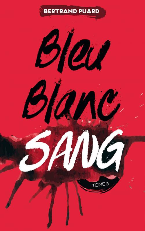 Cover of the book La trilogie Bleu Blanc Sang - Tome 3 - Sang by Bertrand Puard, Hachette Romans