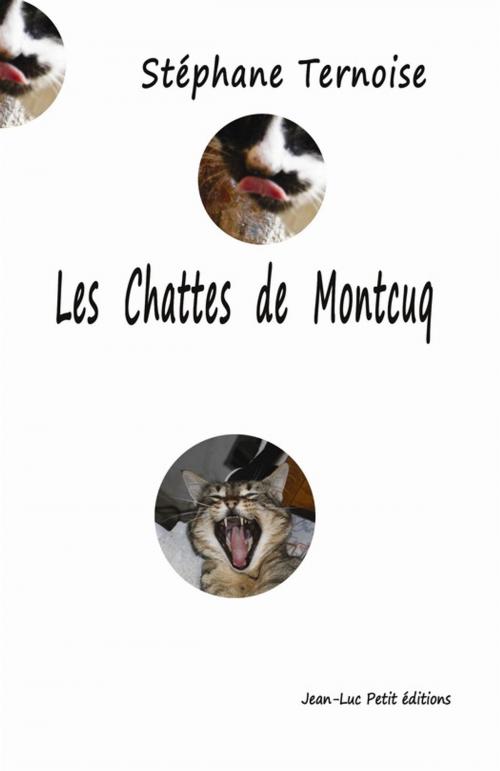 Cover of the book Les chattes de Montcuq by Stéphane Ternoise, Jean-Luc PETIT Editions