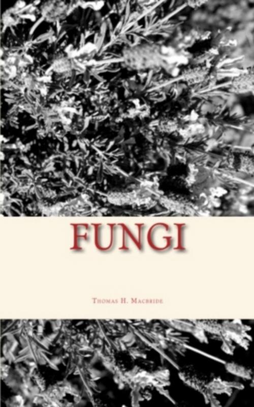 Cover of the book Fungi by Thomas H. Macbride, Editions Le Mono