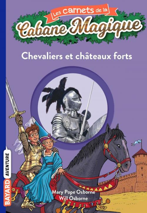 Cover of the book Les carnets de la cabane magique, Tome 02 by , Bayard Jeunesse