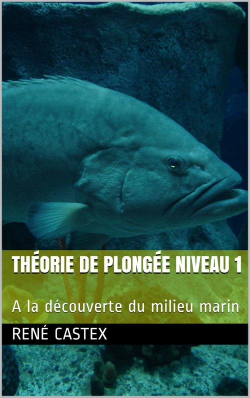 Cover of the book PLONGÉE NIVEAU 1 by RENE CASTEX, RENE CASTEX