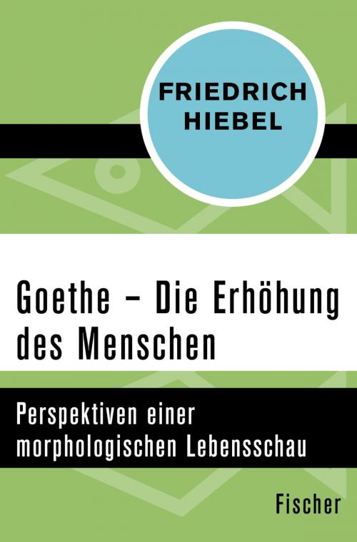 Cover of the book Goethe by Friedrich Hiebel, FISCHER Digital