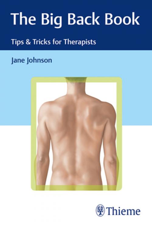 Cover of the book The Big Back Book: Tips & Tricks for Therapists by Jane Johnson, Thieme