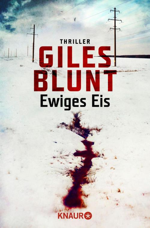 Cover of the book Ewiges Eis by Giles Blunt, Knaur eBook