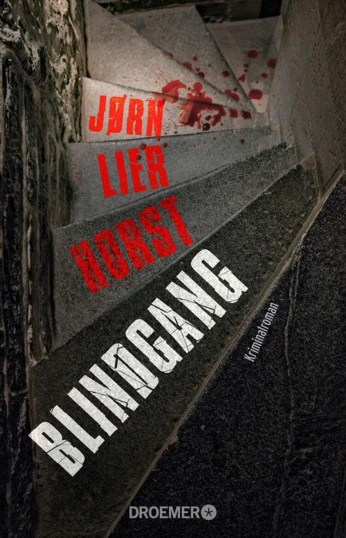 Cover of the book Blindgang by Jørn Lier Horst, Droemer eBook