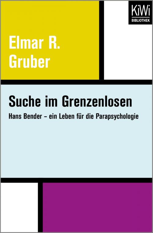Cover of the book Suche im Grenzenlosen by Elmar R. Gruber, Kiwi Bibliothek