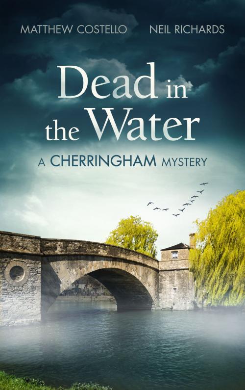 Cover of the book Dead in the Water by Matthew Costello, Neil Richards, Bastei Entertainment