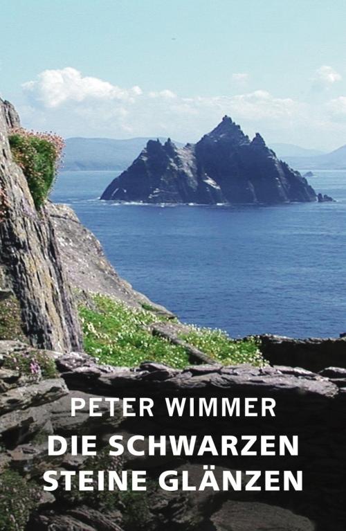 Cover of the book DIE SCHWARZEN STEINE GLÄNZEN by Peter Wimmer, epubli