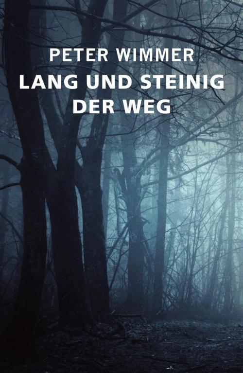Cover of the book LANG UND STEINIG DER WEG by Peter Wimmer, epubli