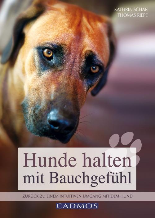 Cover of the book Hunde halten mit Bauchgefühl by Kathrin Schar, Thomas Riepe, Cadmos Verlag