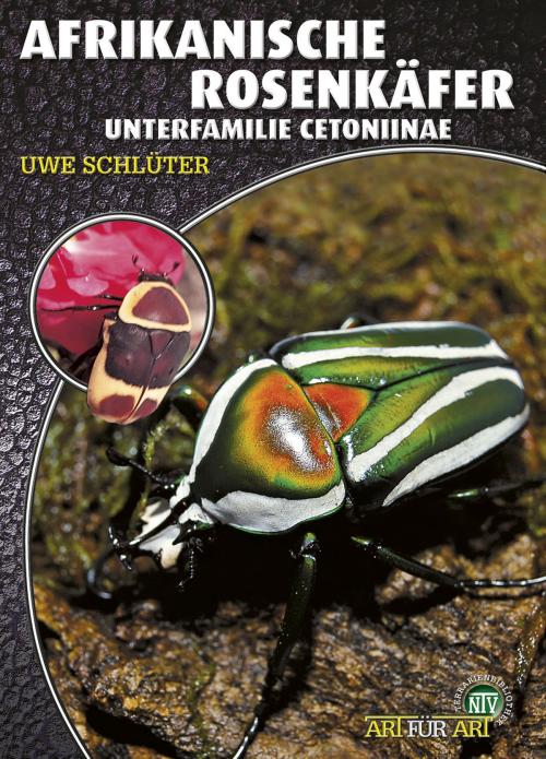 Cover of the book Afrikanische Rosenkäfer by Uwe Schlüter, Natur und Tier - Verlag