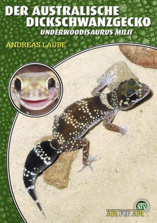 Cover of the book Der Australische Dickschwanzgecko by Andreas Laube, Natur und Tier - Verlag