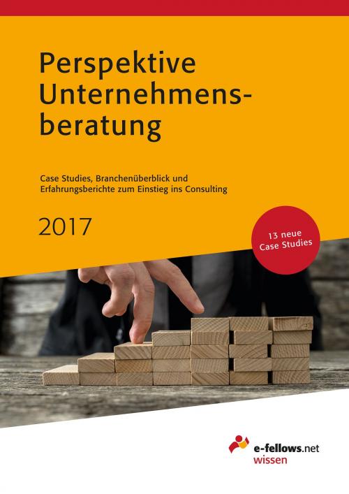 Cover of the book Perspektive Unternehmensberatung 2017 by , e-fellows.net