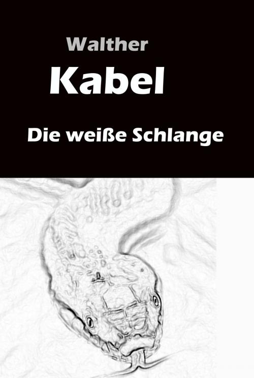Cover of the book Die weiße Schlange by Walther Kabel, Ideenbrücke Verlag