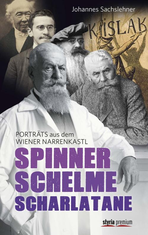 Cover of the book Spinner. Schelme. Scharlatane by Gerhard Dienes, Reinhart Grundner, Styria Verlag