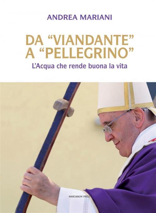 Cover of the book Da "viandante" a "pellegrino" by Andrea Mariani, Marcianum Press