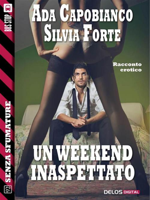 Cover of the book Un weekend inaspettato by Silvia Forte, Ada Capobianco, Delos Digital