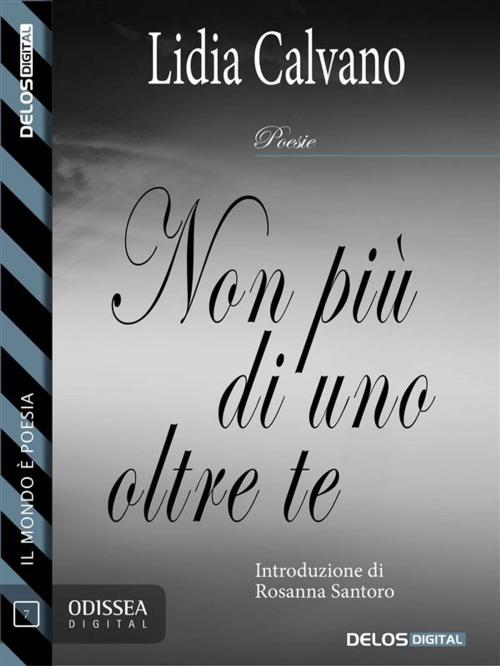 Cover of the book Non più di uno oltre te by Lidia Calvano, Delos Digital