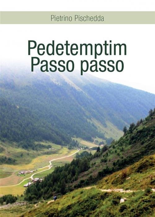 Cover of the book Pedetemptim - Passo passo by Pietrino Pischedda, Youcanprint